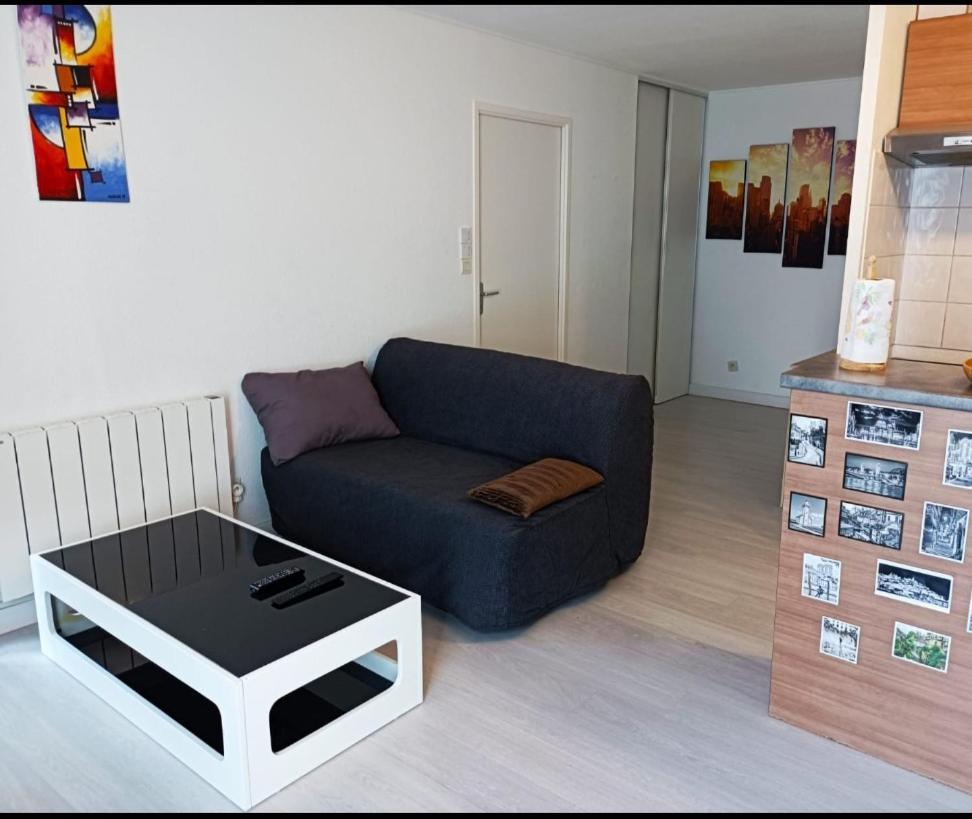Ravissant Appartement T2 Proche Autoroute Et Centre-Ville Villefranche-sur-Saône Exteriér fotografie